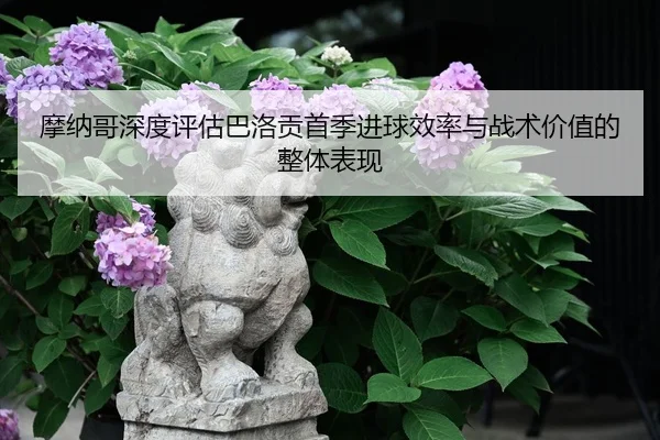 摩纳哥深度评估巴洛贡首季进球效率与战术价值的整体表现